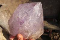 Natural XXL Enhydro Amethyst Brandberg Crystal x 1 From Brandberg, Namibia