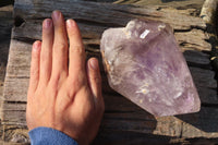 Natural XXL Enhydro Amethyst Brandberg Crystal x 1 From Brandberg, Namibia