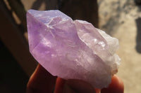 Natural Jacaranda Amethyst Crystals x 35 From Mumbwe, Zambia