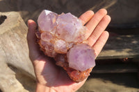 Natural Mixed Spirit Quartz Specimens x 2 From Boekenhouthoek, South Africa