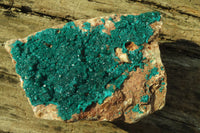 Natural Large Emerald Dioptase Dolomite Specimen  x 1 From Congo