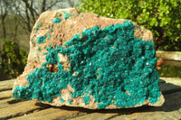 Natural Large Emerald Dioptase Dolomite Specimen  x 1 From Congo