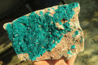 Natural Large Emerald Dioptase Dolomite Specimen  x 1 From Congo