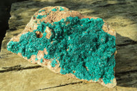 Natural Large Emerald Dioptase Dolomite Specimen  x 1 From Congo