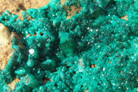 Natural Large Emerald Dioptase Dolomite Specimen  x 1 From Congo