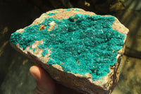 Natural Large Emerald Dioptase Dolomite Specimen  x 1 From Congo