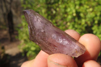 Natural Window Amethyst Crystals  x 12 From Chiredzi, Zimbabwe