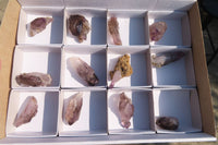 Natural Window Amethyst Crystals  x 12 From Chiredzi, Zimbabwe