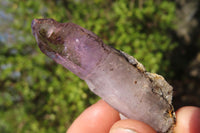 Natural Window Amethyst Crystals  x 12 From Chiredzi, Zimbabwe