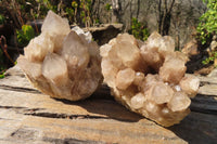 Natural Cascading Smokey Quartz Clusters x 2 From Luena, Congo