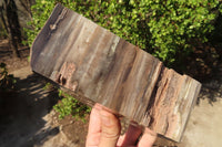 Polished Petrified Ironwood Bookends x 2 From Zimbabwe