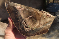 Polished Petrified Ironwood Bookends x 2 From Zimbabwe