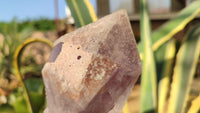 Natural Large Amethyst Crystals x 6 From Zambia