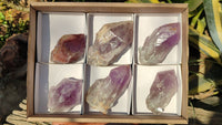 Natural Large Amethyst Crystals x 6 From Zambia