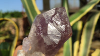 Natural Large Amethyst Crystals x 6 From Zambia