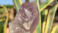 Natural Large Amethyst Crystals x 6 From Zambia