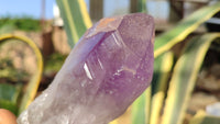 Natural Large Amethyst Crystals x 6 From Zambia