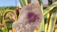 Natural Large Amethyst Crystals x 6 From Zambia