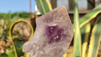 Natural Large Amethyst Crystals x 6 From Zambia