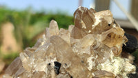 Natural Schorl Black Tourmaline Specimens x 6 From Erongo, Namibia