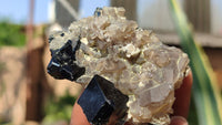 Natural Schorl Black Tourmaline Specimens x 6 From Erongo, Namibia