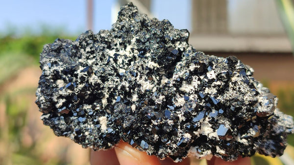 Natural Schorl Black Tourmaline Specimens x 6 From Erongo, Namibia