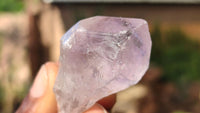 Natural Jacaranda Amethyst Crystals x 70 From Mumbwe, Zambia