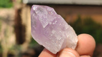 Natural Jacaranda Amethyst Crystals x 70 From Mumbwe, Zambia