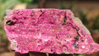 Natural Pink Salrose Cobaltion Dolomite Specimens  x 6 From Kakanda, Congo