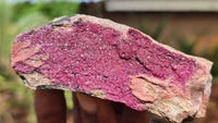 Natural Pink Salrose Cobaltion Dolomite Specimens  x 6 From Kakanda, Congo