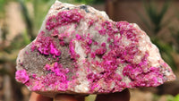 Natural Pink Salrose Cobaltion Dolomite Specimens  x 6 From Kakanda, Congo