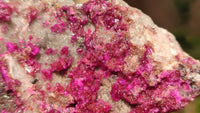 Natural Pink Salrose Cobaltion Dolomite Specimens  x 6 From Kakanda, Congo