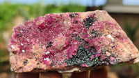 Natural Pink Salrose Cobaltion Dolomite Specimens  x 6 From Kakanda, Congo