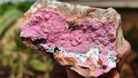 Natural Pink Salrose Cobaltion Dolomite Specimens  x 6 From Kakanda, Congo