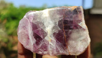 Polished One Side Polished Watermelon Fluorite Pieces  x 12 From Uis, Namibia