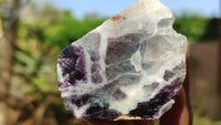 Polished One Side Polished Watermelon Fluorite Pieces  x 12 From Uis, Namibia