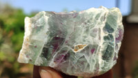 Polished One Side Polished Watermelon Fluorite Pieces  x 12 From Uis, Namibia