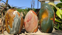 Polished Polychrome Jasper Standing Free Forms  x 3 From Madagascar