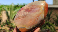 Polished Polychrome Jasper Standing Free Forms  x 3 From Madagascar