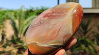 Polished Polychrome Jasper Standing Free Forms  x 3 From Madagascar