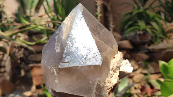 Natural Large Quartz Crystals  x 2 From Southern Africa