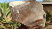 Natural Large Quartz Crystals  x 2 From Southern Africa