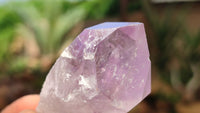 Natural Jacaranda Amethyst Crystals x 35 From Zambia