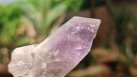 Natural Jacaranda Amethyst Crystals x 35 From Zambia