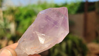 Natural Jacaranda Amethyst Crystals x 35 From Zambia