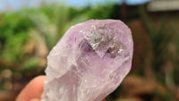 Natural Jacaranda Amethyst Crystals x 35 From Zambia