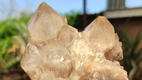 Natural Smokey Phantom Quartz Clusters x 6 From Luena, Congo