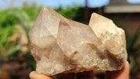 Natural Smokey Phantom Quartz Clusters x 6 From Luena, Congo