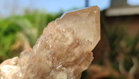 Natural Smokey Phantom Quartz Clusters x 6 From Luena, Congo