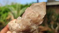 Natural Smokey Phantom Quartz Clusters x 6 From Luena, Congo